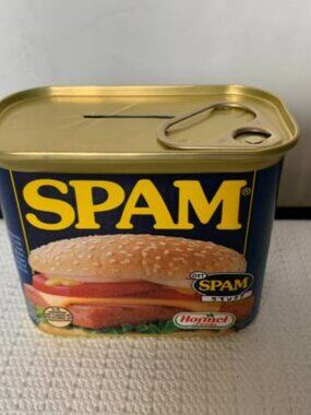 Brand New Spam Bank Security Coin Money Bank